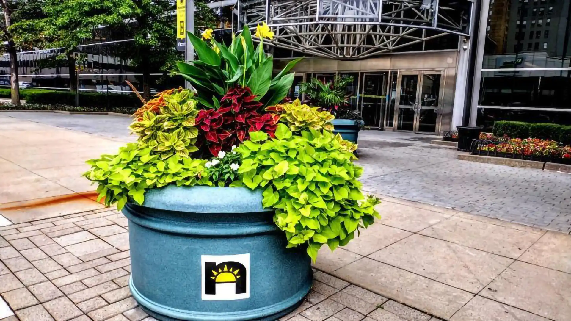 A planter on the street of downtown Newark.