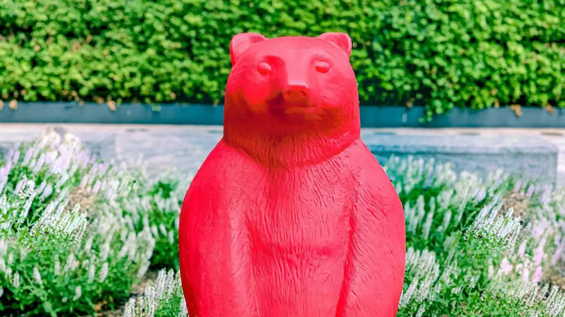 Orsa red bear standing in front of plants